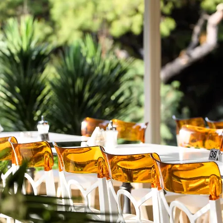 리조트 Philoxenia 사코우디아