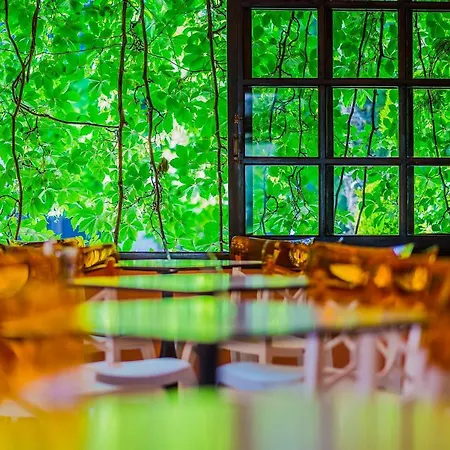 Philoxenia 4* 사코우디아