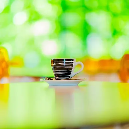 Philoxenia 리조트 사코우디아