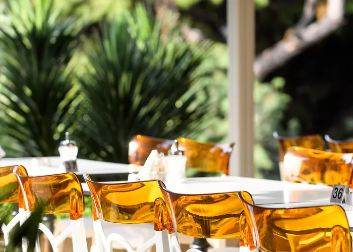 Resort Philoxenia Psakoudia